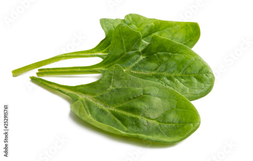 spinach leaves isolated