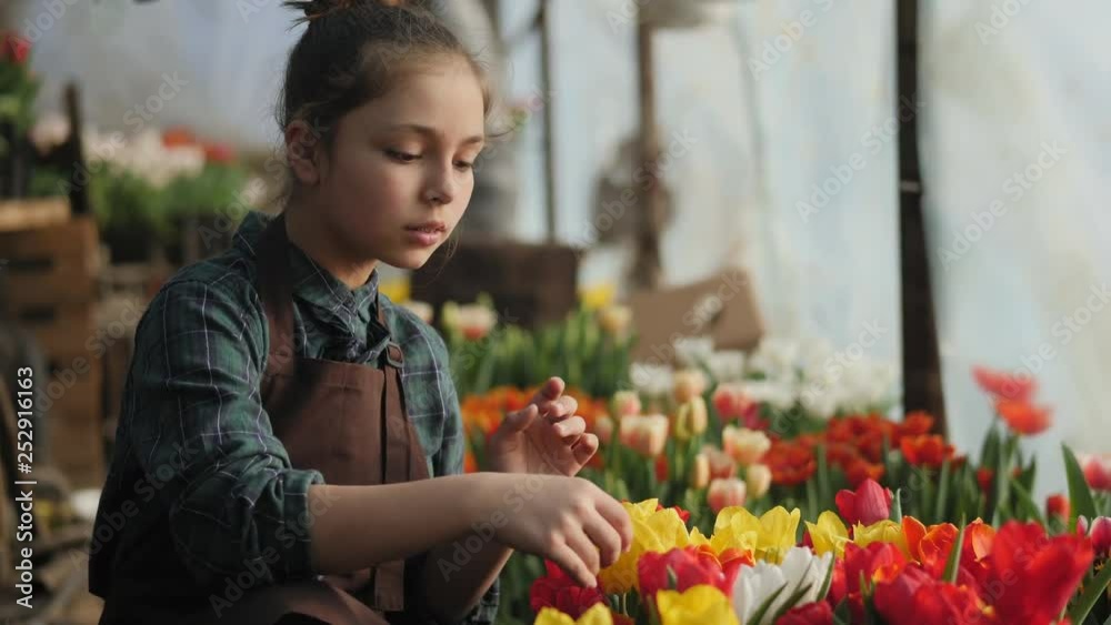 Teen girl working in the greenhouse with blooming tulips