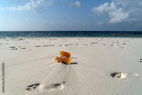 rubbish on tropical island paradise sandy beach photo