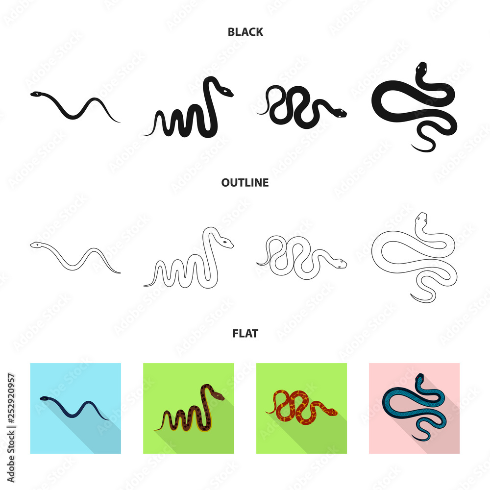 Vector design of mammal and danger logo. Collection of mammal and medicine stock vector illustration. Vector design of mammal and danger logo. Collection of mammal and medicine stock vector illustration.
