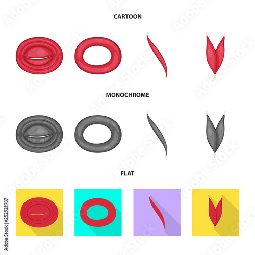 Vector design of fiber and muscular symbol. Set of fiber and body  stock symbol for web.
