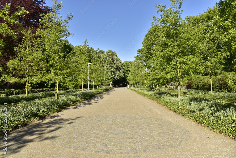 Pavage en forme de cercle sur l'une des routes piétonnières du domaine provincial de Rivierenhof à Anvers