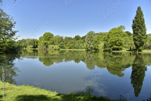 Fototapeta Naklejka Na Ścianę i Meble -  Bois luxuriant avec tilleuls se reflétant dans l'étang principal du domaine provincial de Rivierenhof à Anvers