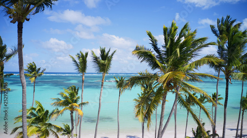 Fototapeta Naklejka Na Ścianę i Meble -  Aerial of a wonderful caribbean tropical exotic beach in Punta Cana, Bavaro Beach,  Dominican Republic