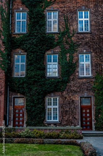 Beautiful old three-story brick house entwined with ivy.