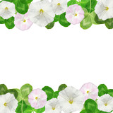 Beautiful floral background of bindweed and clover leaves