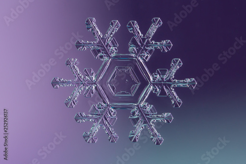 Beautiful Real Snowflake 
