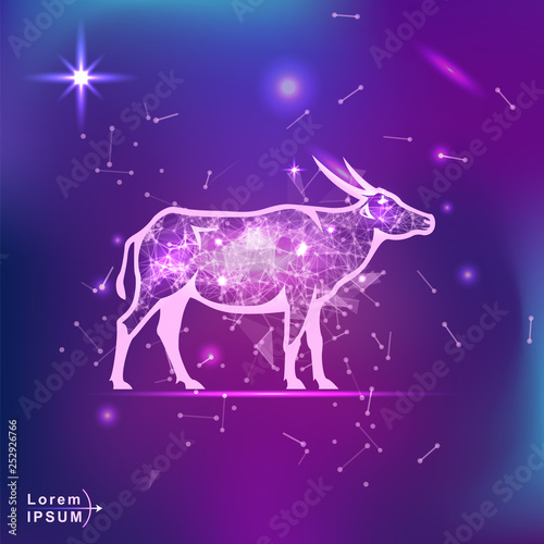 buffalo asiatic. Polygonal wireframe buffalo silhouette on gradient background. Space, futuristic, zodiac concept. Shine neon style vector illustration