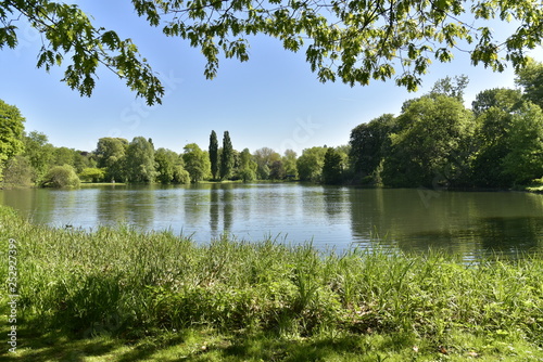 Forêt de roseaux à l'étang principal du domaine provincial de Rivierenhof à Anvers