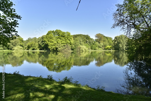 Les différent sortes d'arbres reflétant dans l'étang principal au domaine provincial de Rivierenhof à Anvers 