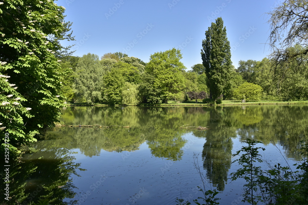 Les différent sortes d'arbres reflétant dans l'étang principal au domaine provincial de Rivierenhof à Anvers 