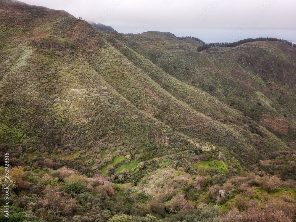 Montañas verdes del norte de Gran Canaria Montañas verdes del norte de Gran Canaria