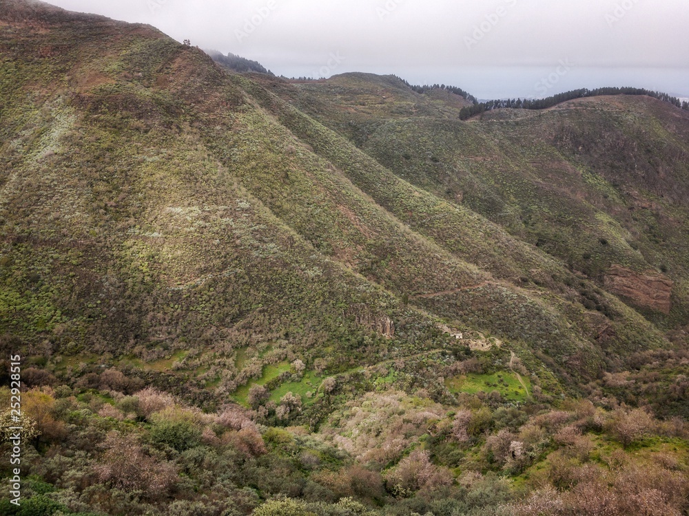 Montañas verdes del norte de Gran Canaria