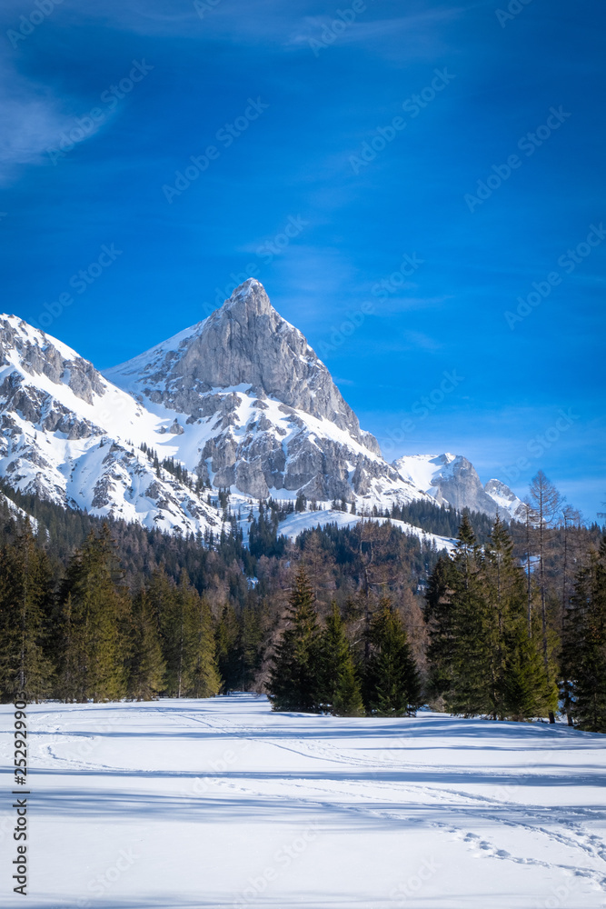 Portrait view over snowy plateau Kaiserau with mountain Admonter Kalbling