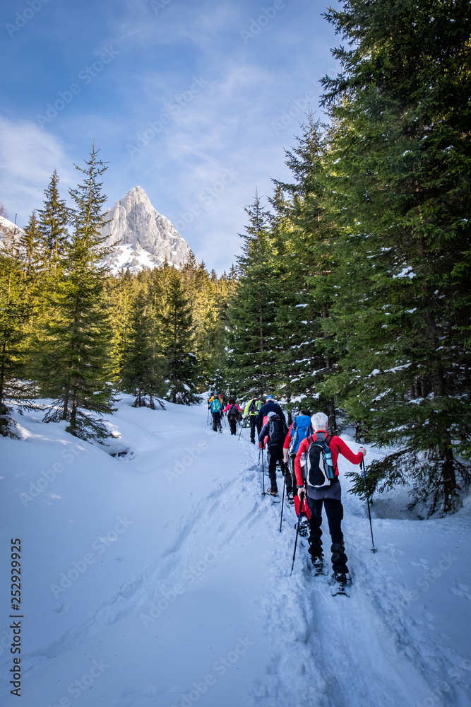 Adults snowshoeing thruogh forest in Kaiserau with mountain Admonter Kalbling