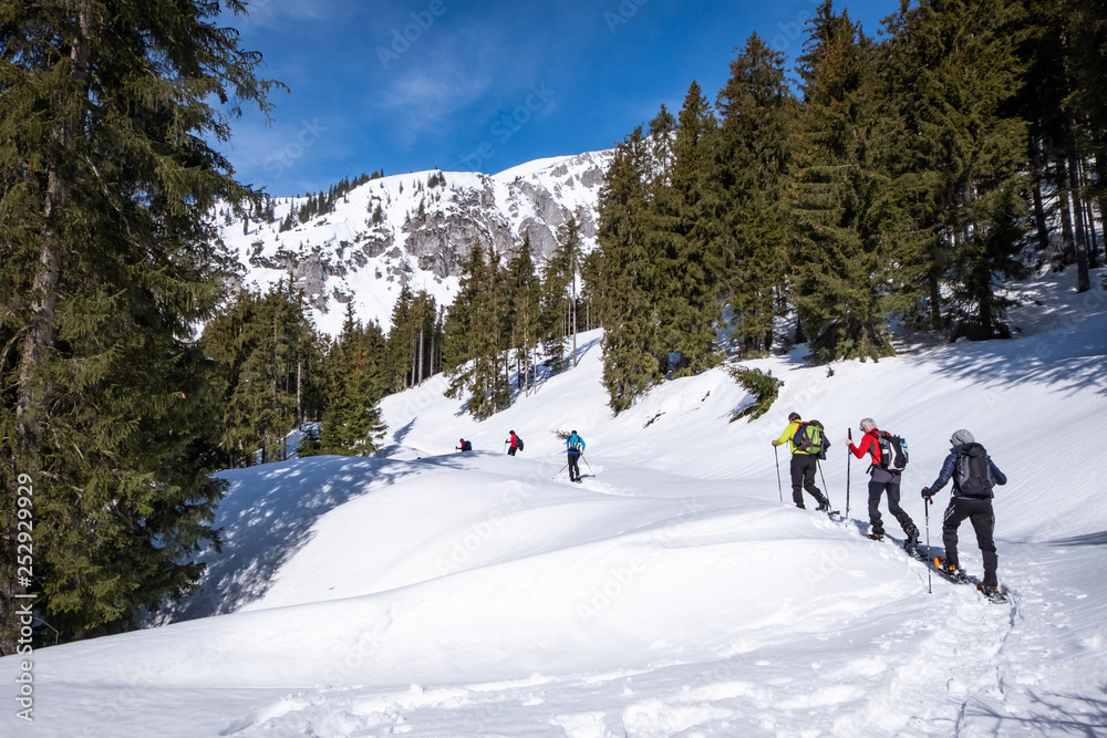 Adults snowshoeing thruogh forest in Kaiserau with mountain Kreuzkogel, Styria