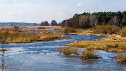 Obraz Wiosna nad Narwią. Dolina Górnej Narwi. Rozlewiska Narw