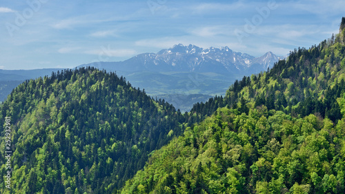 Widok na Tatry.