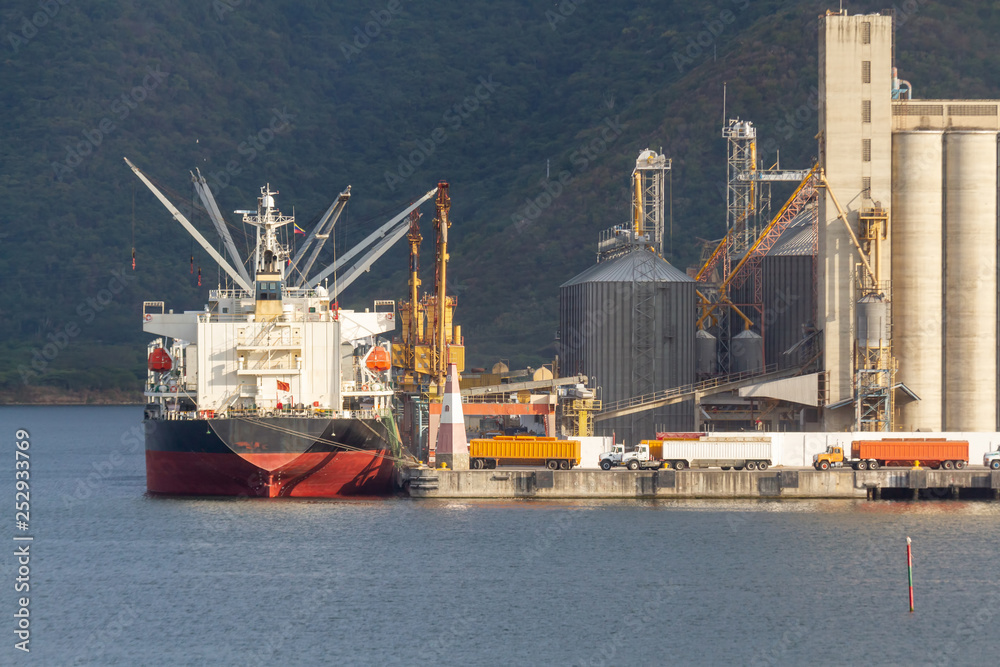 Cargo operations - lodaing bulk carrier at modern terminal