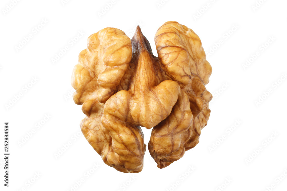 one walnut isolated on white background top view one walnut isolated on white background top view