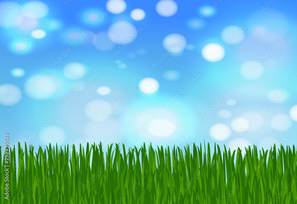 summer or spring background with green grass, blue sky and highlights