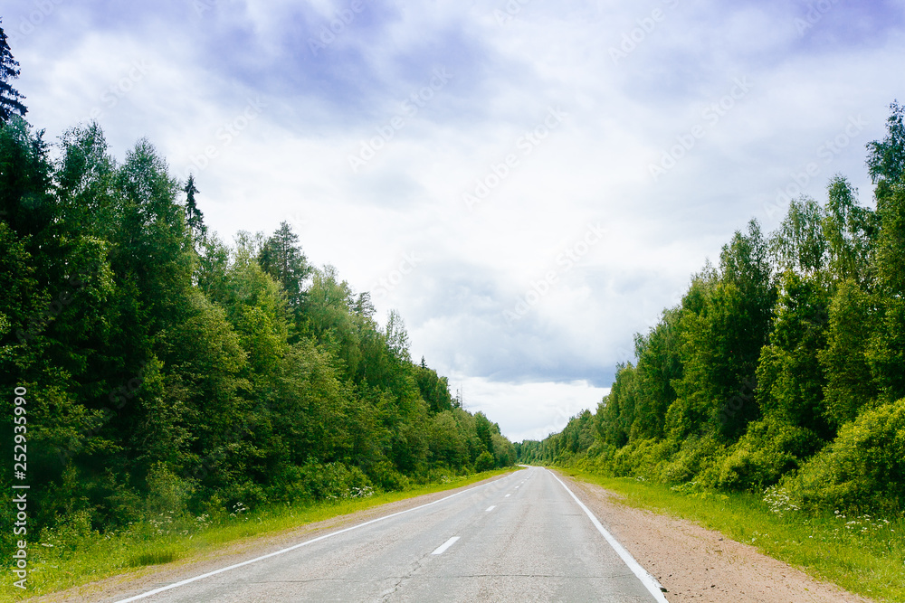 Spring summer background  road in green forest scenery lanscape with blue sky