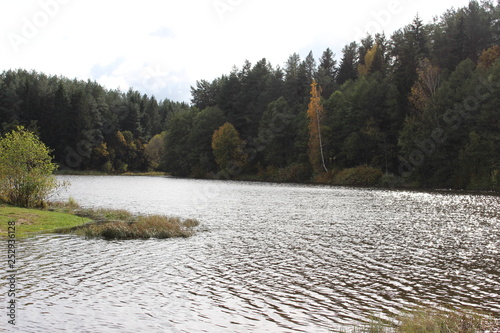 nature
