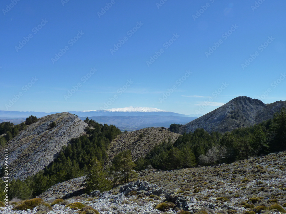 Snow-capped Sierra Nevada from La Maroma, Andalucia, Spain