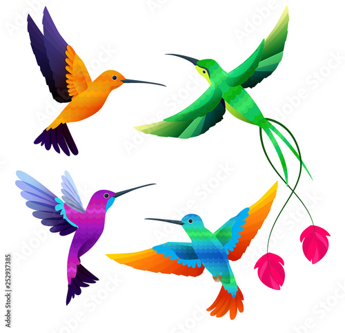 Hummingbirds collection. Exotic tropical little birds flying vector cartoon set. Illustration of exotic animal, colored bird hummingbird