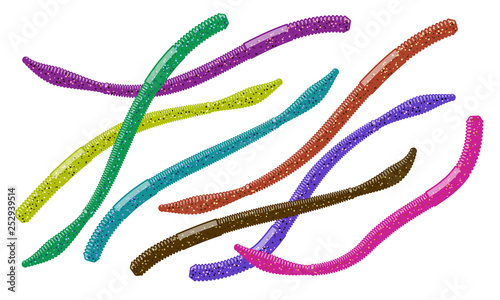 Color varieties of soft plastic worm baits.