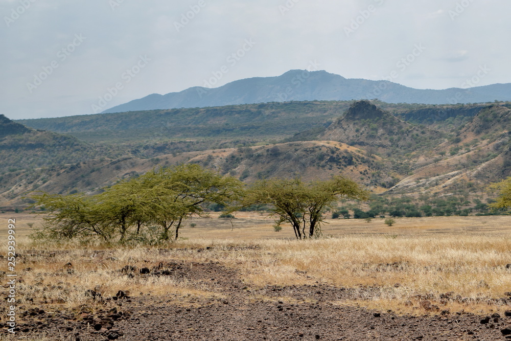 The arid landscapes of Lake Magadi, Rift Valley, Kenya