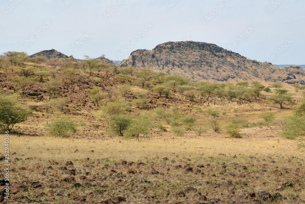 The arid landscapes of Lake Magadi, Rift Valley, Kenya