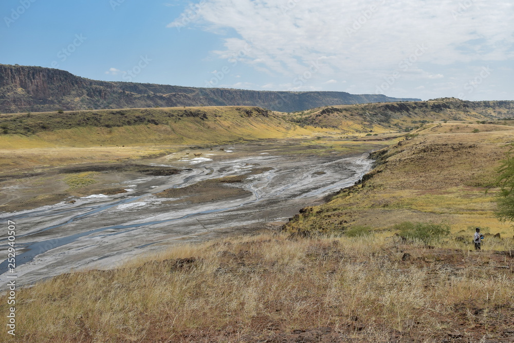 Colorful algae at the shores of Lake Magadi, Rift Valley, Kenya 