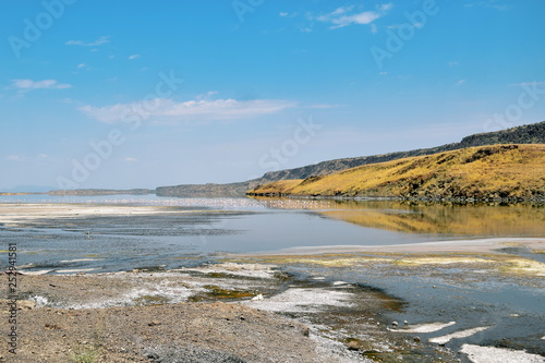 Colorful algae at the shores of Lake Magadi, Rift Valley, Kenya 