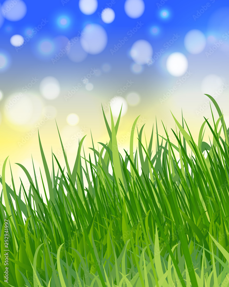 summer or spring background with green grass, blue sky, sunlight and highlights