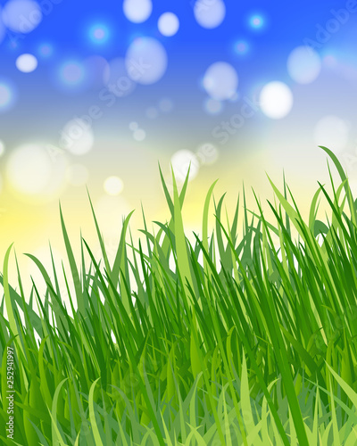 summer or spring background with green grass, blue sky, sunlight and highlights