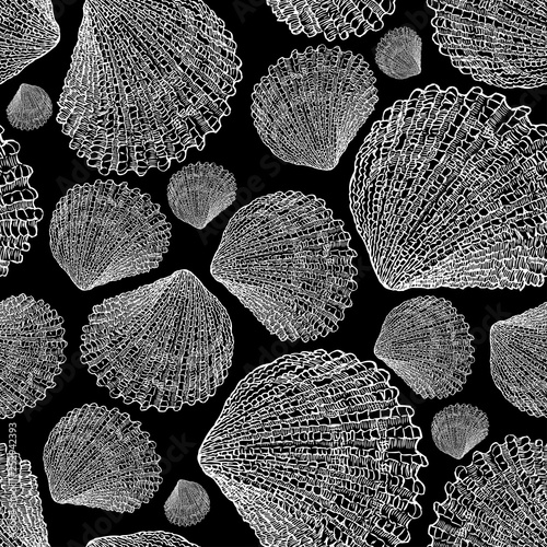 seamless pattern of the seashells sketches