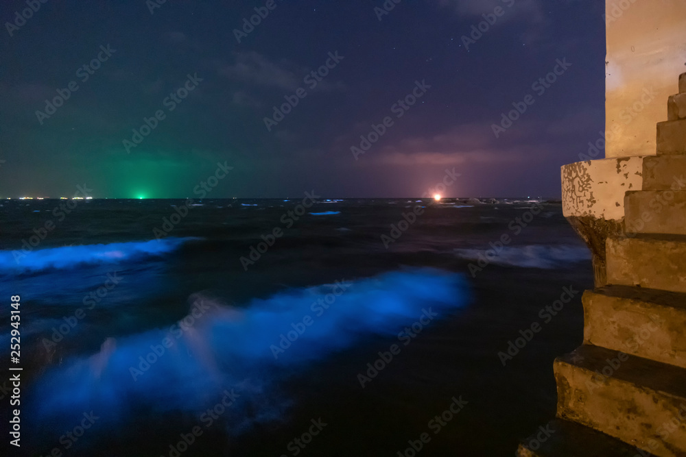 Glow plankton On the tip of the sea waves in Chonburi province Visible with the naked eye in the dark