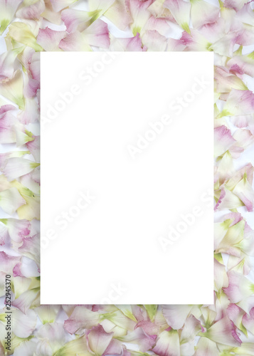 아름다운 봄꽃 배너&프레임, 세일,초대장 배경 © LHG