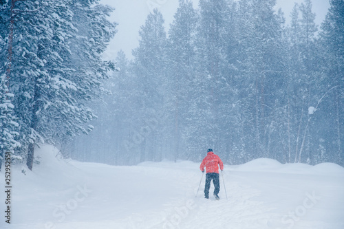 Man cross-country skiing run in orange jacket, black trousers. Winter snow day