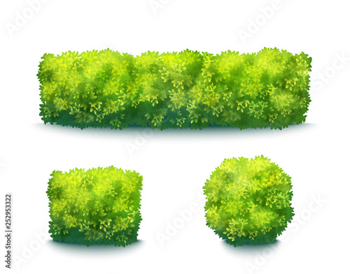 Green Garden Hedges