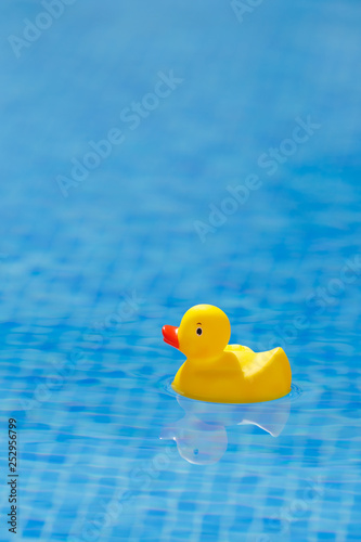 yellow rubber duck in blue swimming pool