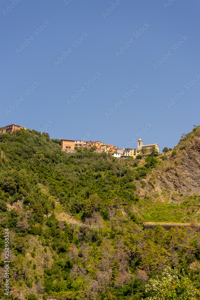 Italy, Cinque Terre, Corniglia, a close up of a lush green hillside
