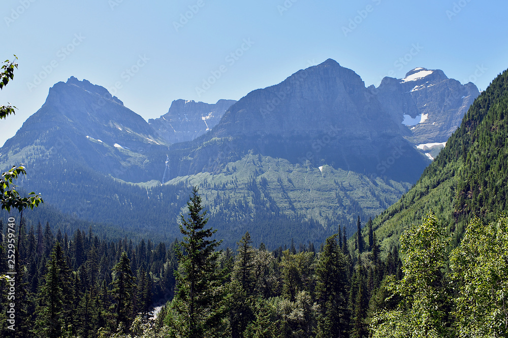 Landscape Forest of Pine Trees in a Valley Below a Snowy Mountain in Glacier National Park, Montana