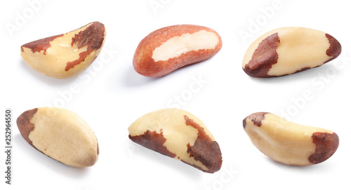 Set of different delicious organic brazil nuts on white background