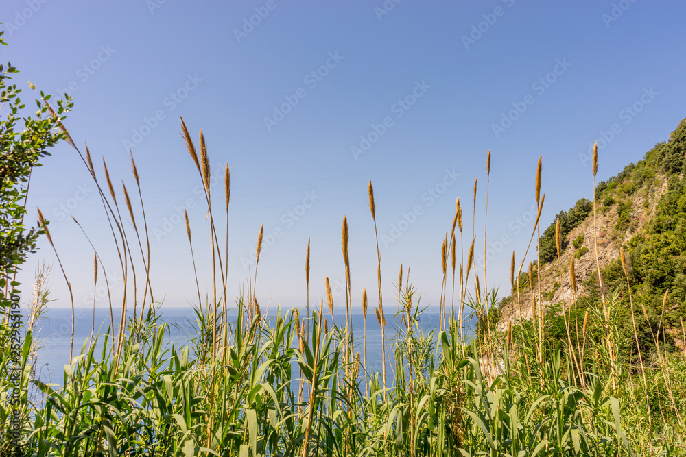 Italy, Cinque Terre, Corniglia, a group of people standing next to a body of water Italy, Cinque Terre, Corniglia, a group of people standing next to a body of water