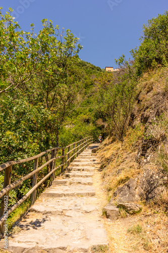 Italy, Cinque Terre, Corniglia, FOOTPATH AMIDST TREES AGAINST CLEAR SKY