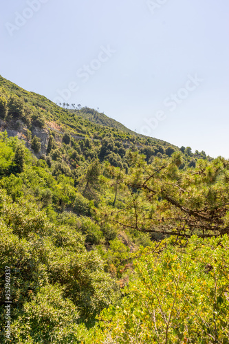 Italy, Cinque Terre, Corniglia, a large green field with trees in the background
