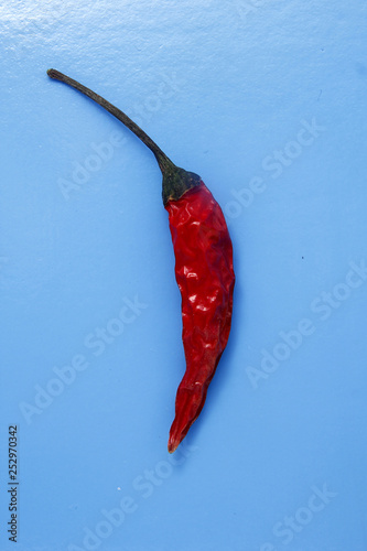 Withered red chili pepper