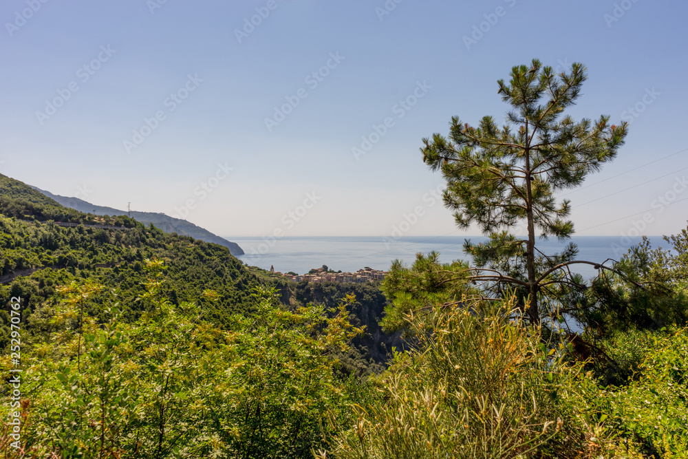 Italy, Cinque Terre, Corniglia, a close up of a hillside next to a tree